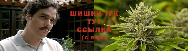 PSILOCYBIN Россошь