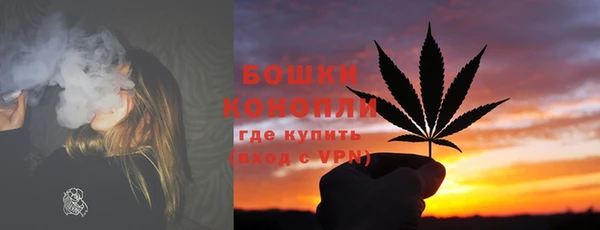 PSILOCYBIN Россошь