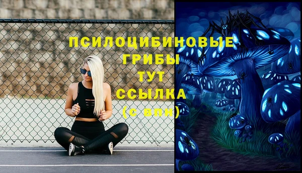 мескалин Рославль