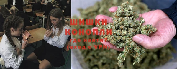 PSILOCYBIN Россошь